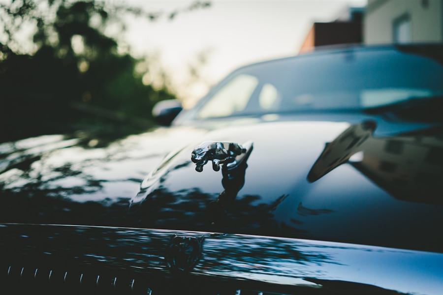 Classic Jaguar